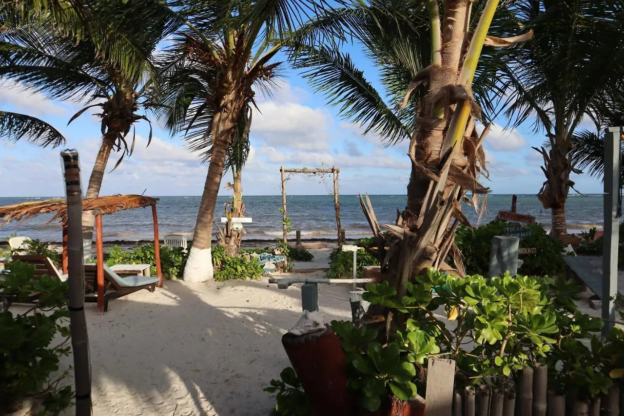 Lunazul Eco-Cabana Frente Al Mar Mahahual Alojamento de Turismo Selvagem