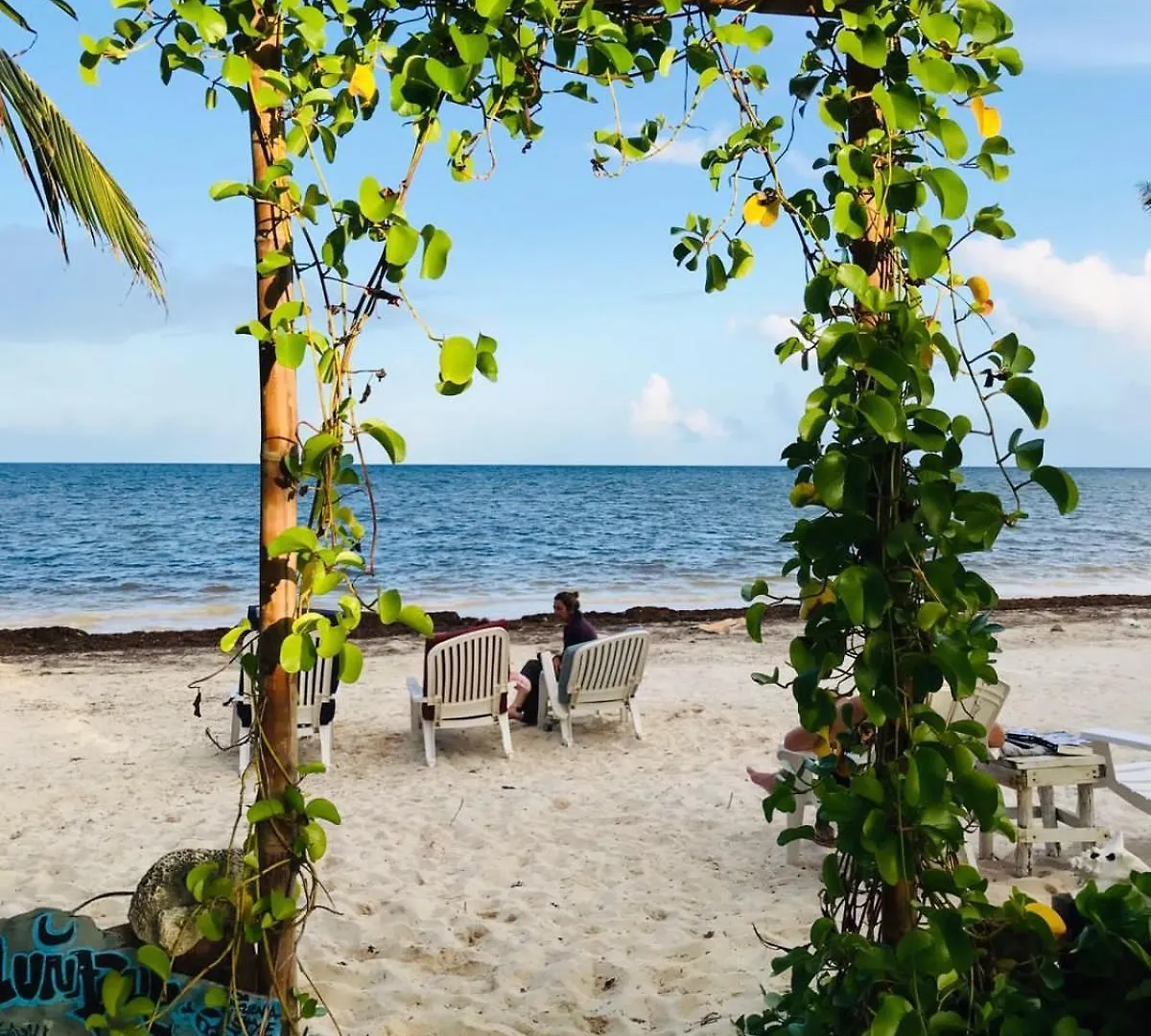 Lunazul Eco-Cabana Frente Al Mar Mahahual Alojamento de Turismo Selvagem