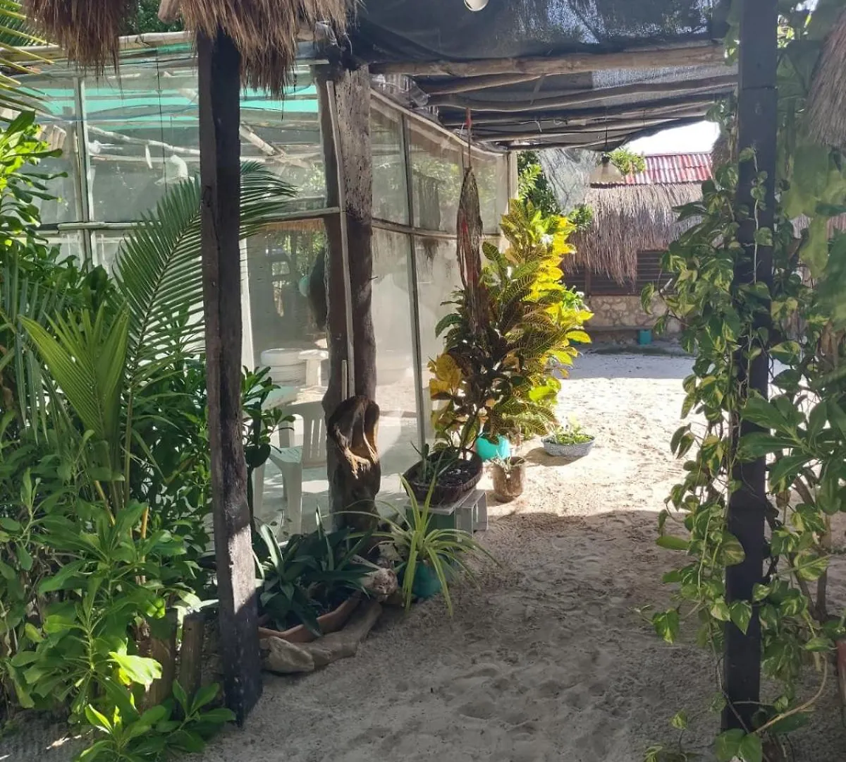Lunazul Eco-Cabana Frente Al Mar Mahahual 0*,  México